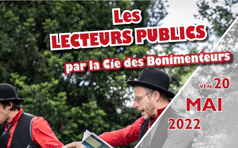 Les lecteurs publics : visuel