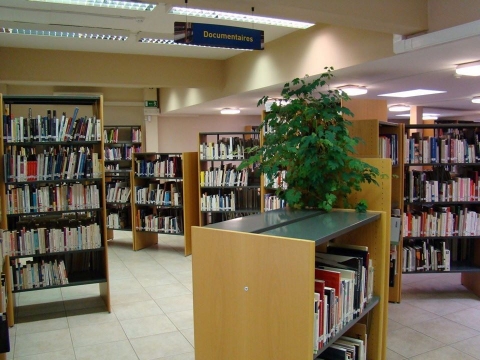 Photographie de rayonnages à l'intérieur de la bibliothèque de Saint-Ghislain