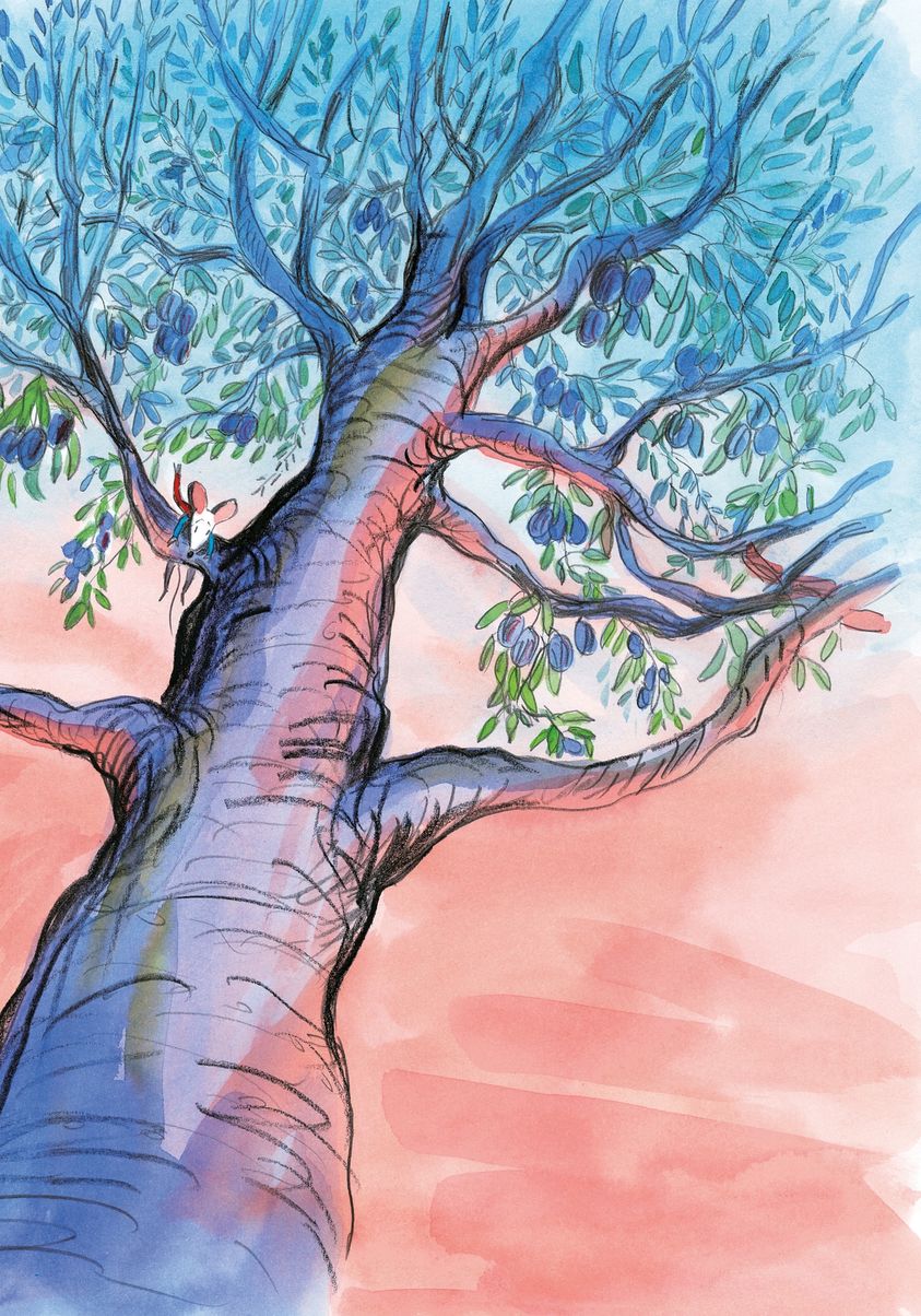 Illustration d'un arbre extraite du livre : Hé ! Là-haut ! de Christine Davenier - L'école des loisirs