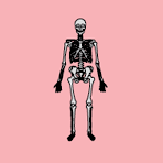 CORPS_Anatomie,