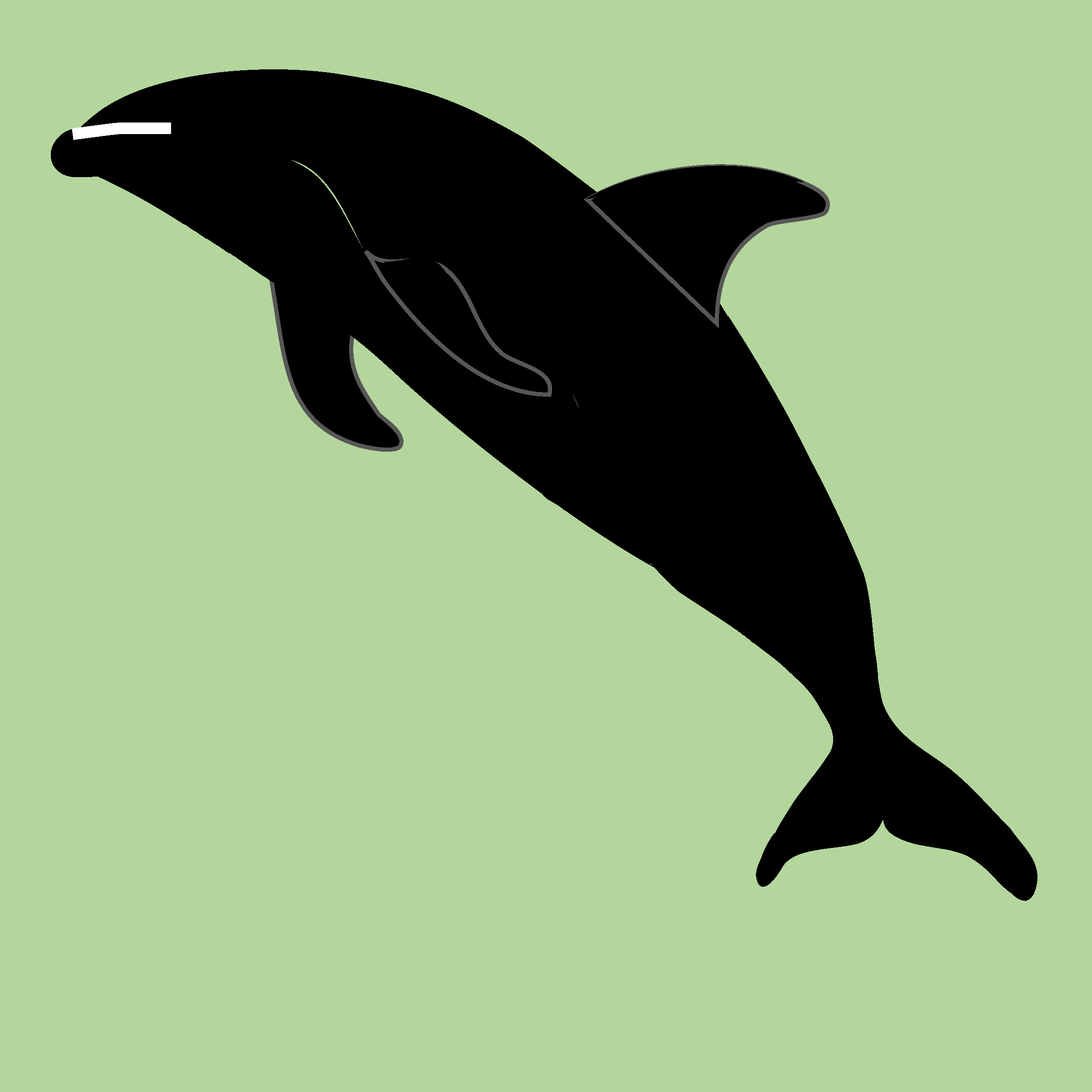 Nature_Animaux_marins