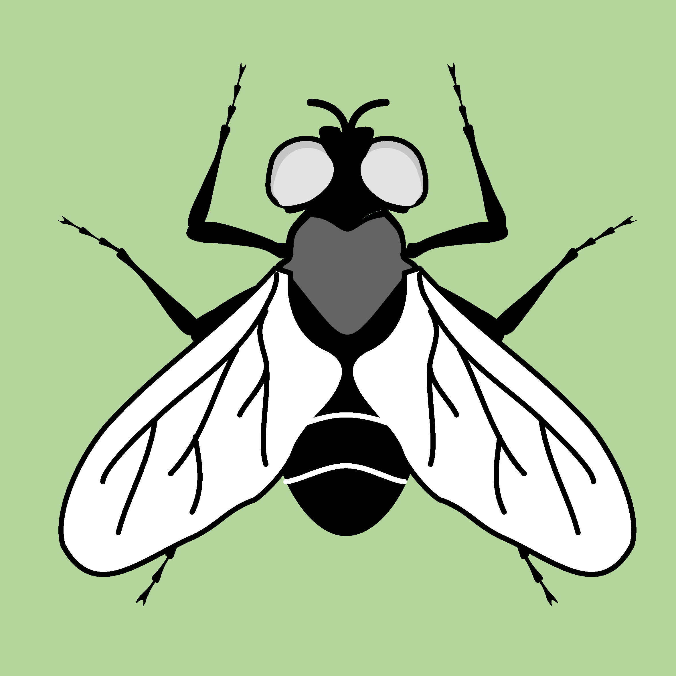 Nature_Insectes